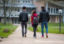 Syrian arrivals in Germany nearly halved since al-Assad was ousted Three young Syrian refugees attend classes at the Marienau boarding school in Dahlem near Dahlenburg (Lower Saxony). (Related to dpa: "Debate about Syrians in Germany: What it's about") Credit: Philipp Schulze/dpa